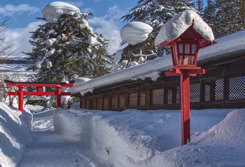 冬・雪化粧の松と庭